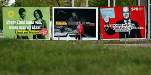 Wahlplakate der Grünen, der FDP und der SPD zur Bundestagswahl stehen auf einer Wiese
