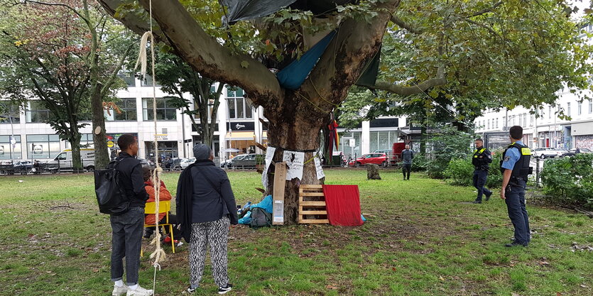 Besetzte Platane am Kreuzberger Oranienplatz