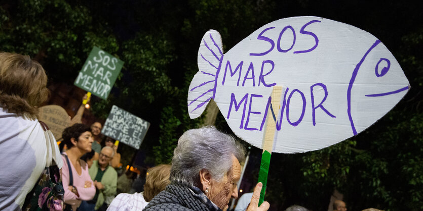 Menschen mit Schildern, auf denen "SOS Mar Menor" steht.