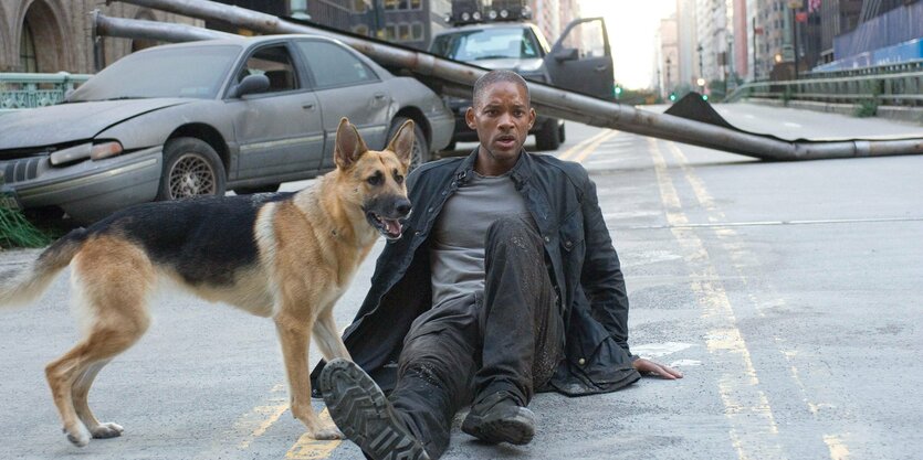 Will Smith mit Hund in "I Am Legend"