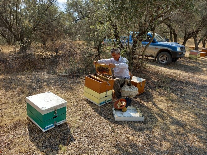 EIn Mann kniet an einer Bienenkiste