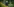 Eine Person mit blonden schulterlangen Haaren steht in einem Garten