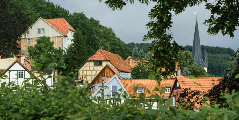 Blick durch grüne Blätter hindurch auf Fachwerkhäuser und einen Tisch