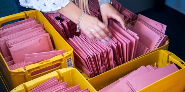 Pinkfarbene Wahlbriefe in Postboxen werden von einem Paar Hände sortiert.