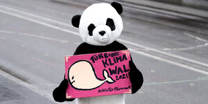 Eine Person im Pandakostüm mit Plakat