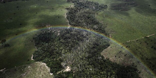 Luftbild vom Regenwald mit Regenborgen