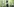 Ein Polizist steht im Wald