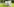 Wahlplakat von Hans-Georg Maaßen in Thüringen