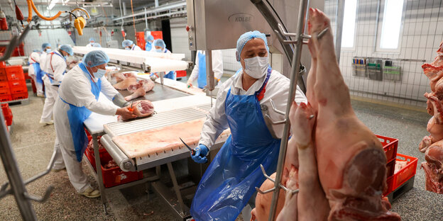 Ein Mitarbeiter mit Mund-Nasen-Schutz zerlegt Schweinekeulen im Schlachtbetrieb der Emil Färber GmbH in Sachsen.