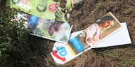Zerstörte Wahlplakate der Grünen und der AfD