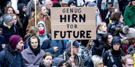 Demonstrierende, Schild: "Genug Hirn For Future"