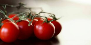 Strauchtomaten liegen auf einem Tisch