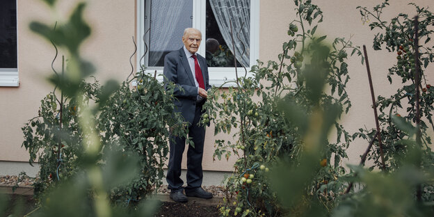 Rudolf Götz, 95, ist Pastor im Ruhestand, hier inmitten seiner Tomatenpflanzen, muss man sich als glücklichen Menschen vorstellen