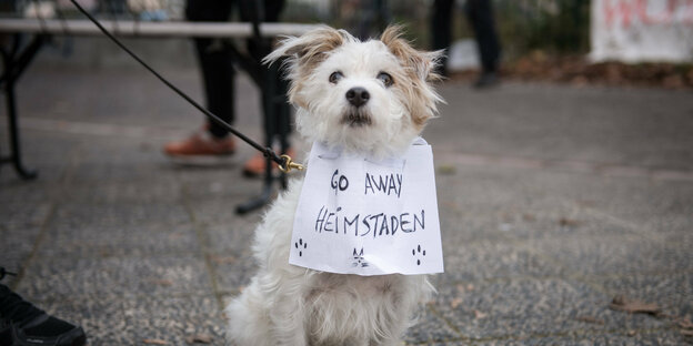 Ein Hund mit einem umgehängten Zettel mit der Aufschrift Go Away Heimstaden bei einer Protestkundgebung gegen den Verkauf von Haeusern und Wohnungen in Berlin Neukoelln.