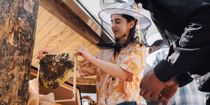 junge Frau mit orangenem T-Shirt hält Bienenrahmen mit Honigwaben.