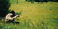 Ein Mann mit Filmkamera filmt auf einer Weide mit Kühen.