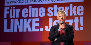 Das Foto zeigt die Landesvorsitzende der Berliner Linkspartei, Katina Schubert.