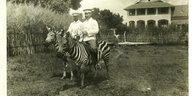 Zwei Männer reiten auf Zebras