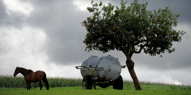 Auf einem Feld stehen ein Pferd, ein Wasserwagen und ein Apfelbaum