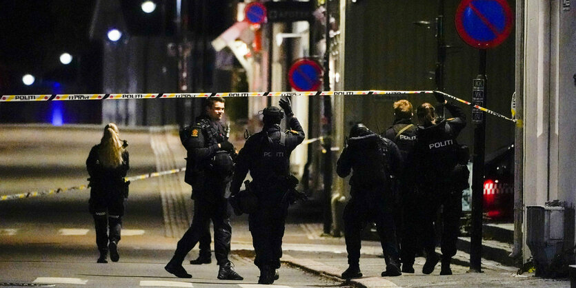 Polizist*innen bei Nacht in einer Straße