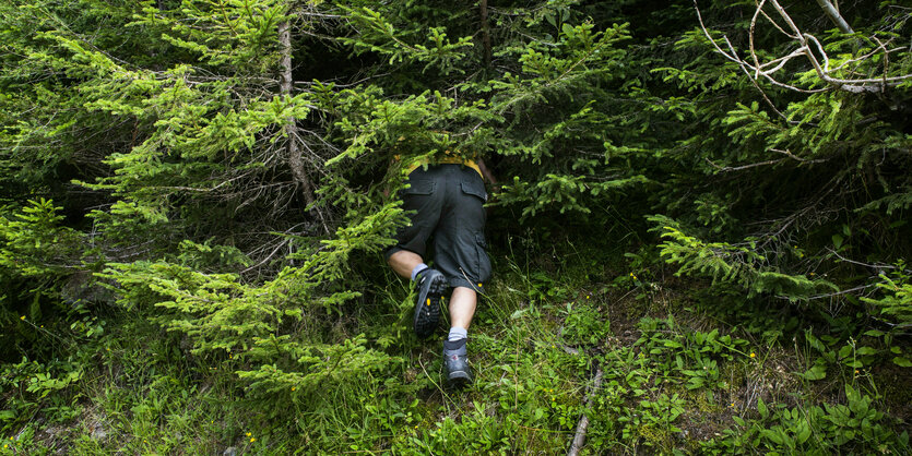 Eine Person im Wald.