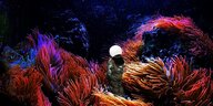 Eine Astronautin steht auf einem Planet, der Boden scheint mit Seeanemonen übersäht zu sein
