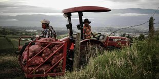 Arbeiter mit landwirtschaftlichem Gerät auf Feld