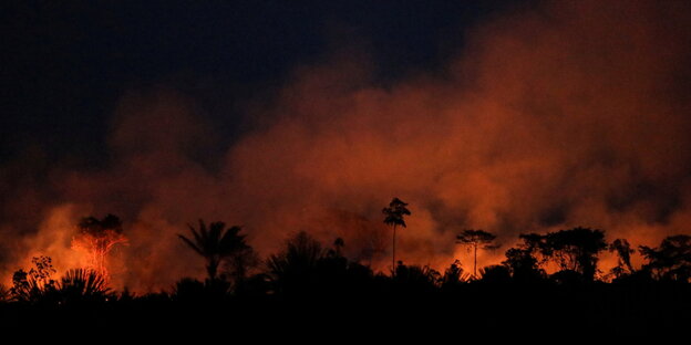 Roter rauch über einem brennenden Regenwald.