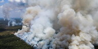 Wald brennt in brasilianischen Bundesstaat Humaita