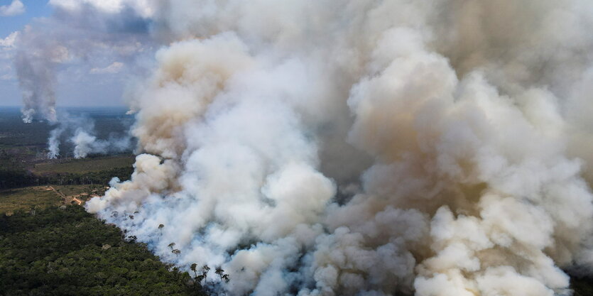 Wald brennt in brasilianischen Bundesstaat Humaita