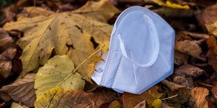 Eine Mund-Nasen-Bedeckung liegt im herbstlichen Laub.