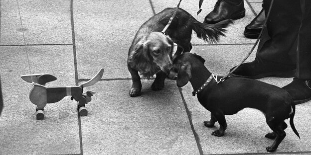 Zwei Hunde beschnuppern sich, der Olympiaspielzeughund steht daneben.