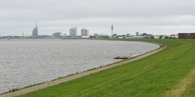 EIn Blick auf die Luneplate in Bremerhaven: Eine grüne Wiese entlang einer Weserbiegung, im Hintergrund klein die Skyline der Stadt