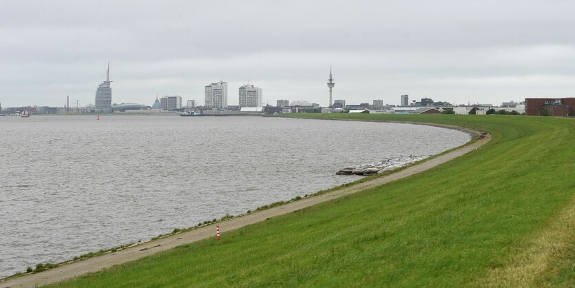 EIn Blick auf die Luneplate in Bremerhaven: Eine grüne Wiese entlang einer Weserbiegung, im Hintergrund klein die Skyline der Stadt