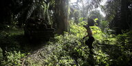 Ein Arbeiter auf einer Palmöl-Plantage im Regenwald