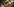 Polizeibeamte begleiten einen Afghanen auf dem Flughafen Leipzig-Halle in ein Charterflugzeug.