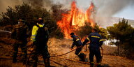 Feuerwehrleute an einem brennenden Busch