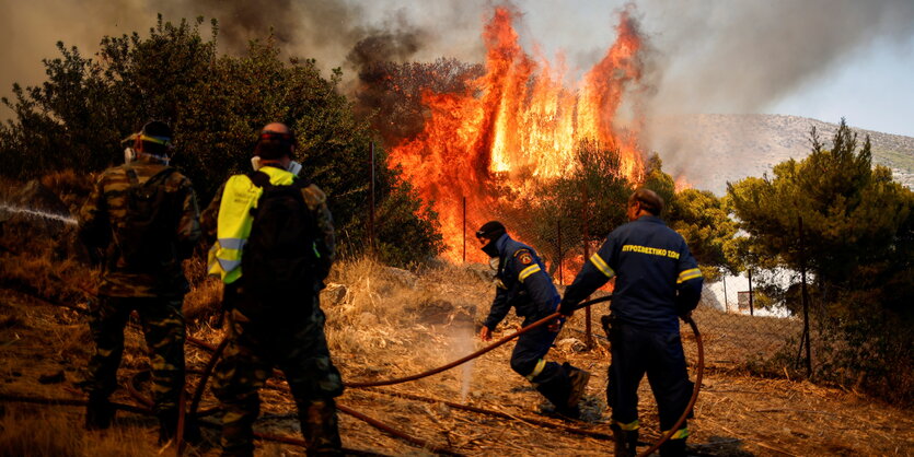 Feuerwehrleute an einem brennenden Busch