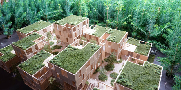 Ein Foto mit einem Architekturmodell: im Vordergrund sind rosane ineinandergeschachtelte Häuser mit Gründächern zu sehen im Hintergrund ein Wald aus Zweigen von Tannen