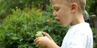 Ein kleiner Junge betrachtet eine Gurke aus dem eigenen Kleingarten