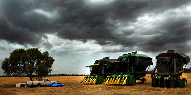 Baumwoll-Pflückmaschinen stehen auf einem Feld