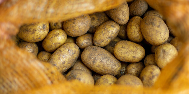 Ein Blick in einen Sack Kartoffeln