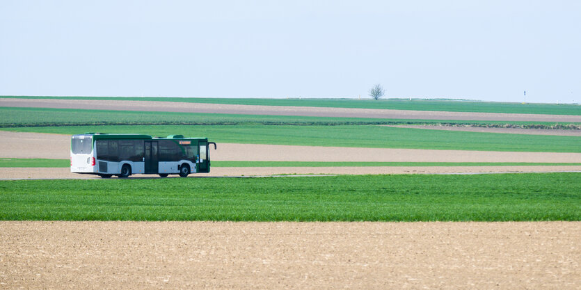 Linienbus zwischen Feldern