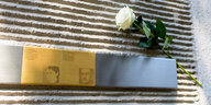 Eine weiße Rose steckt an den ersten Erinnerungstafeln für die Opfer des Nationalsozialismus in München.