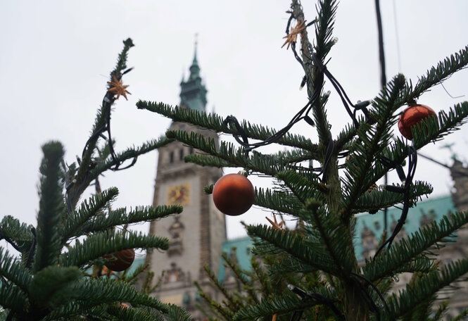 Weihnachtsbäume mit Schmuck.