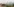Rauchwolken über einem Park zwischen Hochhäusern