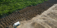 Brasilien, Porto Velho: Ein Lastwagen steht in einem abgeholzten Gebiet des Amazonas.