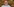 Justus Rosenberg hat kurze graue Haare, eine schwarzgerahmte Brille und lächelt