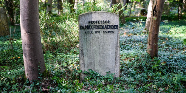 Grabstein unter Bäumen, Aufschrift: "Professor Dr. Max Friedlaender"