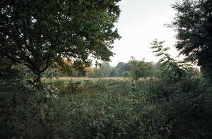 Wald und Wiesen: Berlin-Buch hat nicht nur Plattenbauten, sondern auch Natur zu bieten